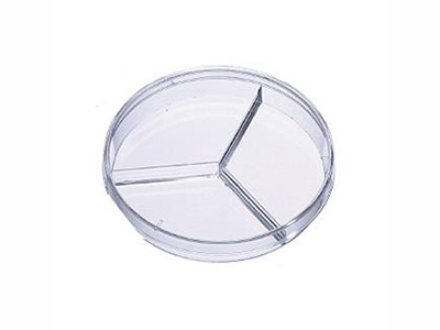 PLACA PETRI 90X15 MM 3 DIVISÃO